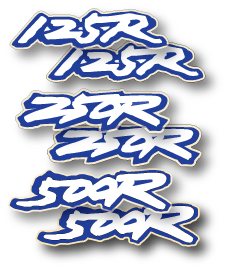 1993 Honda CR 125 250 500 Swingarm Decals - Select a model 