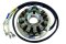 HPI Stator for Husqvarna 4 Stroke 83-94 TC TE WXC 350 510 610 